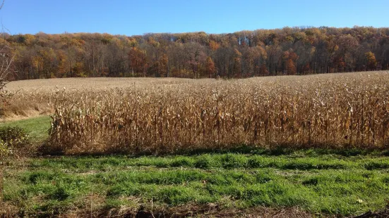 Conewago Recreation Trail