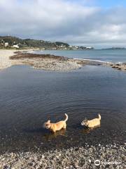 Shankill Beach