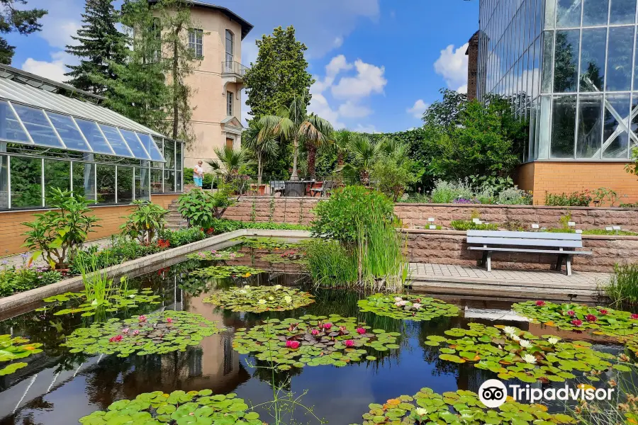 Jardín Botánico de la Universidad de Halle-Wittenberg