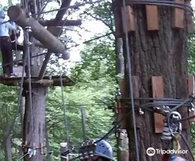 1_Fun Forest AbenteuerPark Homburg