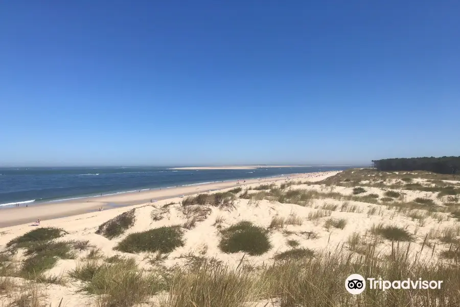 Plage de la Lagune