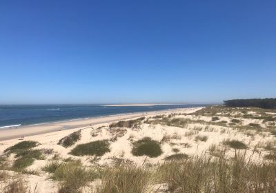 Plage De La Lagune