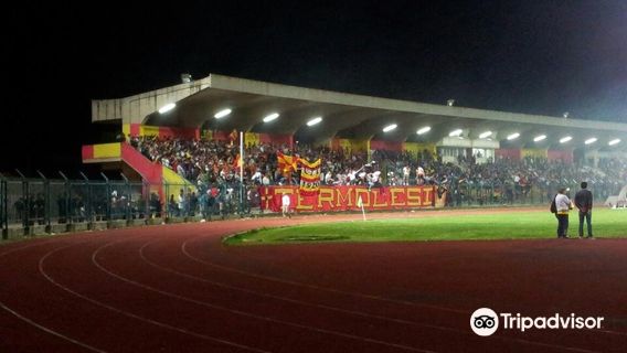 Stadio Gino Cannarsa