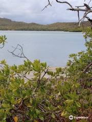 Plage de La Baie Aux Tresors