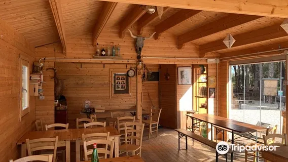 Parco Avventura Fregene