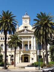 Ayuntamiento de Malaga