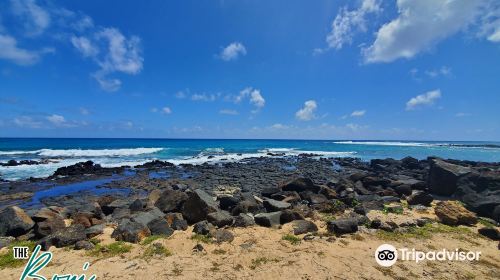 Brennecke's Beach