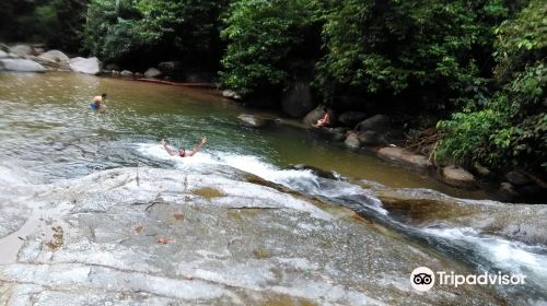 Burmese Pool