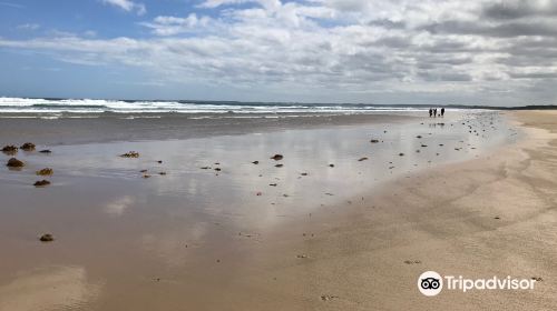 Venus Bay No. 4 Beach