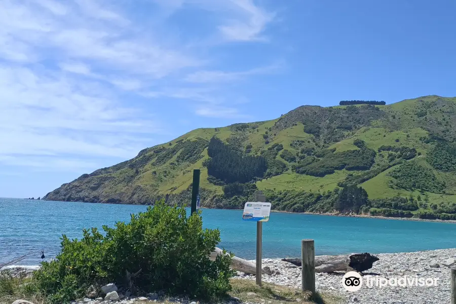 Cable Bay Walkway