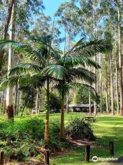 Bongil-Bongil-Nationalpark