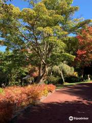 Forest Glade Gardens