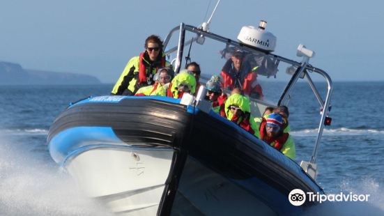 Gentle Giants – Húsavík Whale Watching