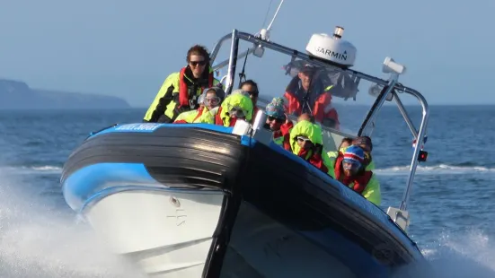 Gentle Giants – Húsavík Whale Watching