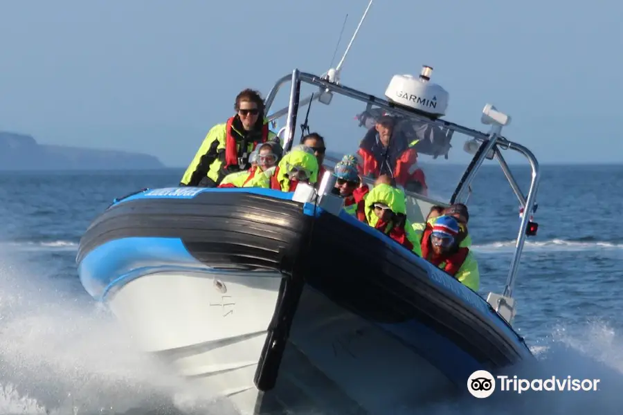 Gentle Giants – Húsavík Whale Watching