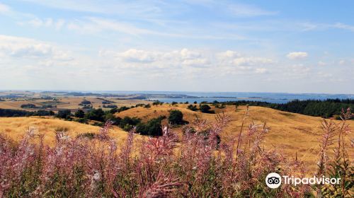 Mols Bjerge National Park