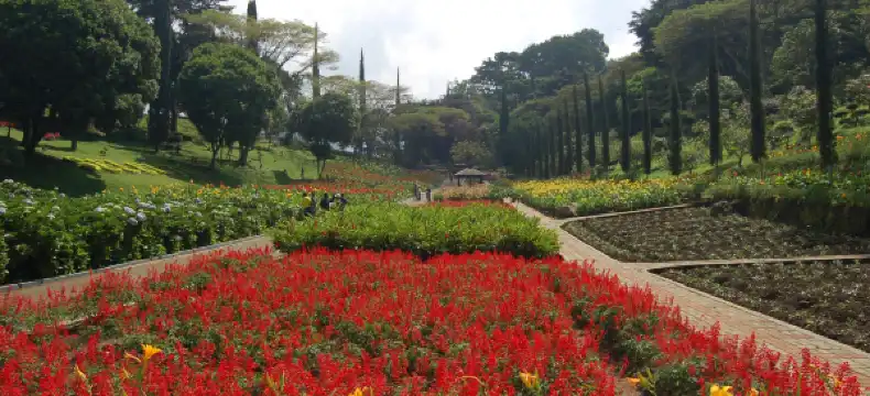 Hotels near Selecta Amusement Park