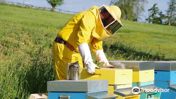 Soleterra Di Luca Serri