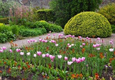 Priorwood Garden National Trust for Scotland