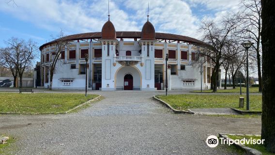 Arenes de Dax