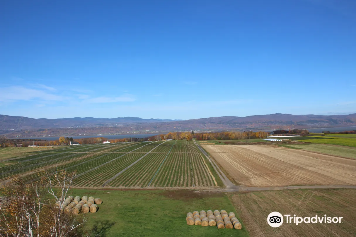 3_The Observation Tower