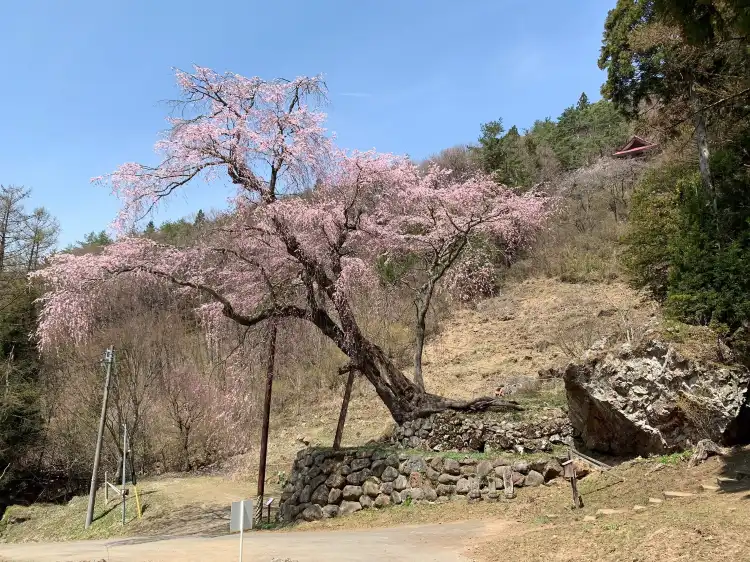 Hotel di Kamitakai District