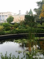 Volunteer Park