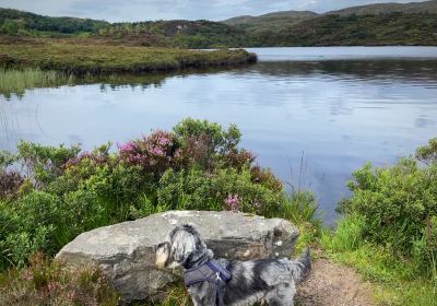 Little Assynt Estate