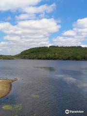 Killykeen Forest Park