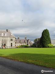 National Museum of Ireland - Country Life