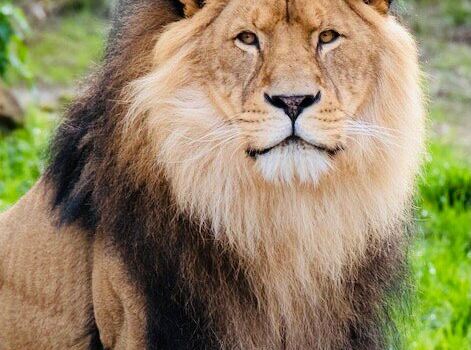Kumasi Zoo
