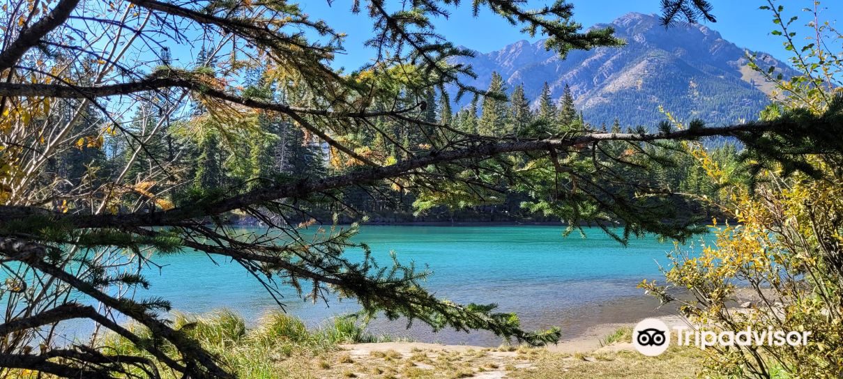Bow River Trail