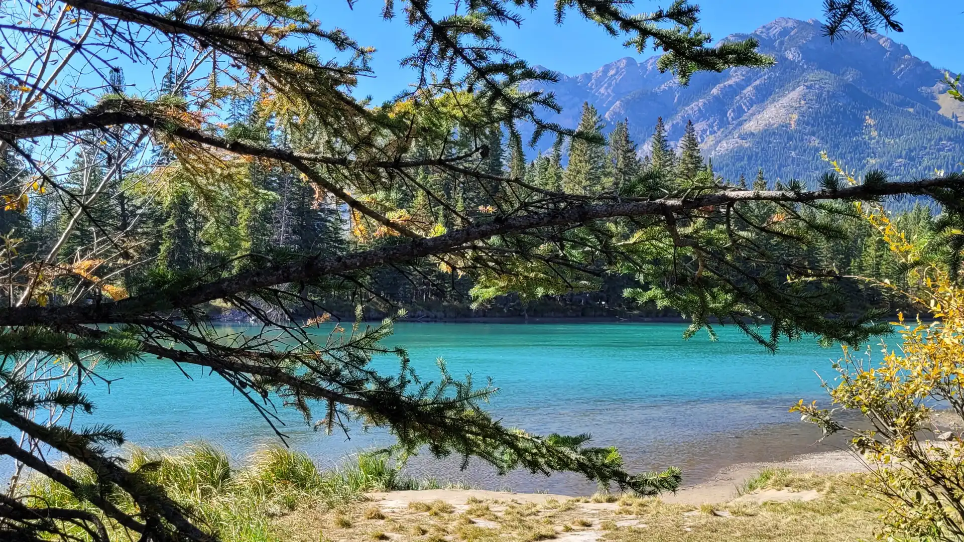 Hotels near Bow River Trail