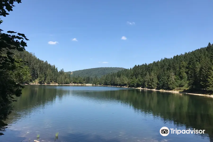 Le Lac des Corbeaux