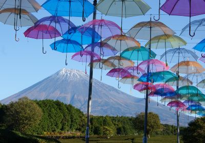 大淵笹場