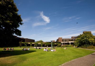 University of Limerick