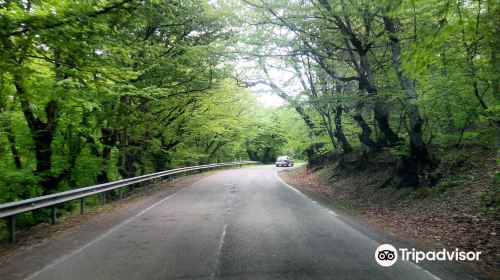 Gombori Pass