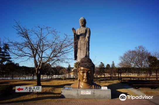 茨城/牛久大仏】ギネス世界一の大仏 | Trip.com 牛久