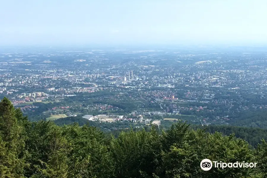 Wieża ZIAD Tower