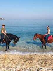 Corfu Riding Centre (Dimitris)ISSOS