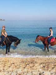 Corfu Riding Centre