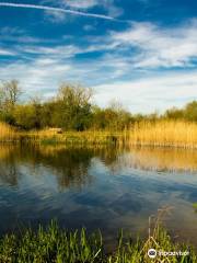 Stanwick Lakes