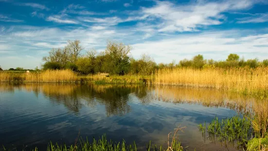 Stanwick Lakes