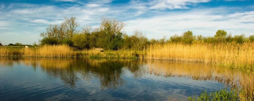 Stanwick Lakes Country Park