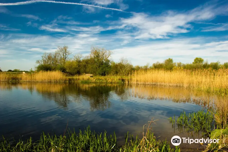 Stanwick Lakes