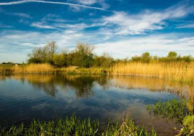 Stanwick Lakes