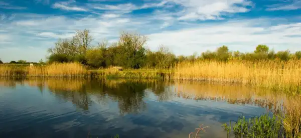 Hotels in Stanwick
