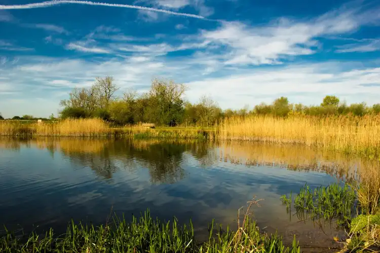 Hotels in Stanwick