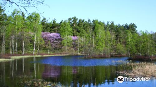 Gothenburg Botanical Garden