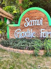 Ferme des crocodiles de Samui